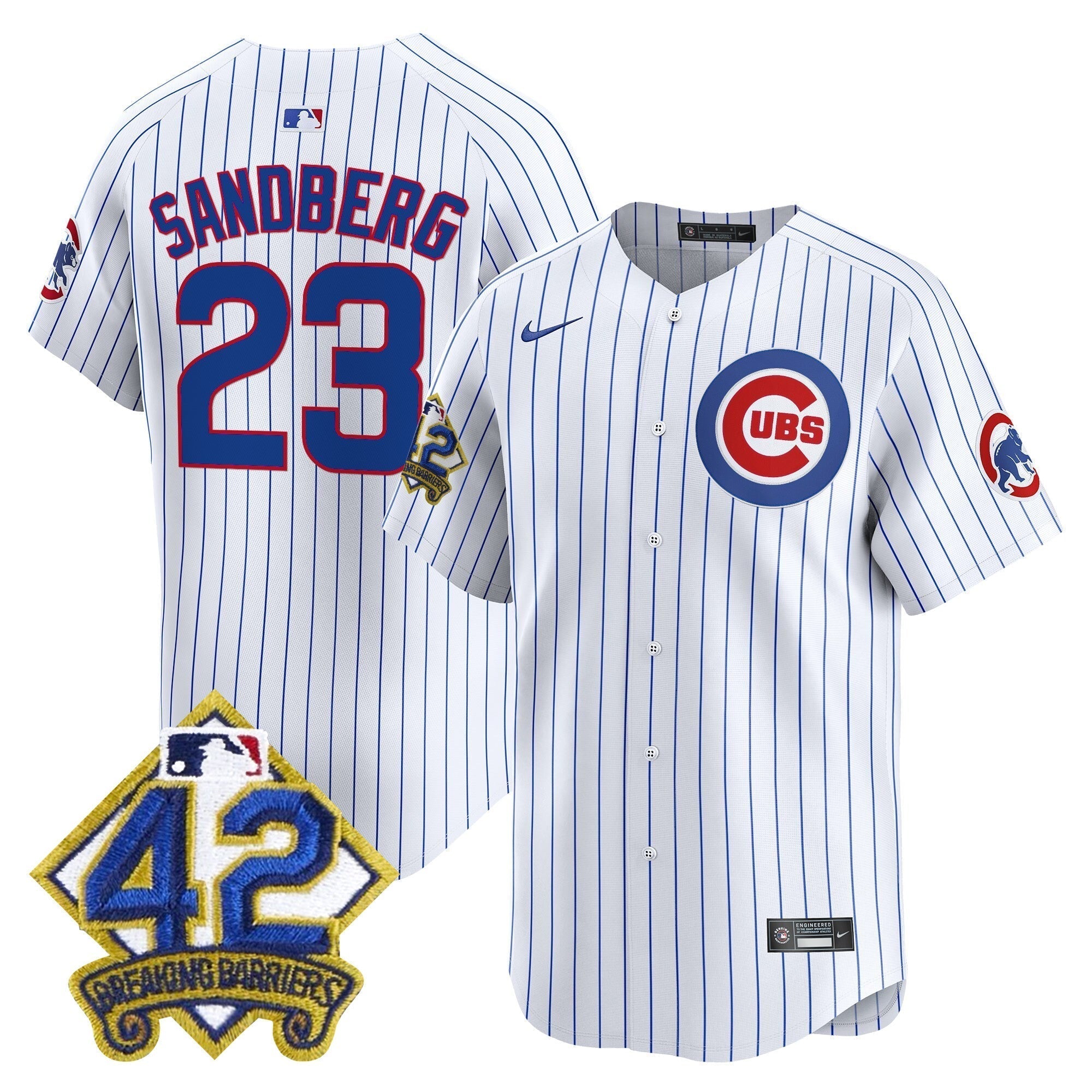 CHC 2025 Jackie Robinson Patch Vapor Premier Limited Jersey - Stitched